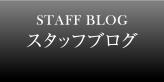 スタッフブログ